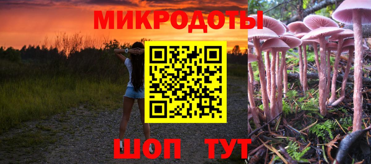 Галлюциногенные грибы MAGIC MUSHROOMS  Вход с VPN  Симферополь  Галлюциногенные грибы прущие грибы 