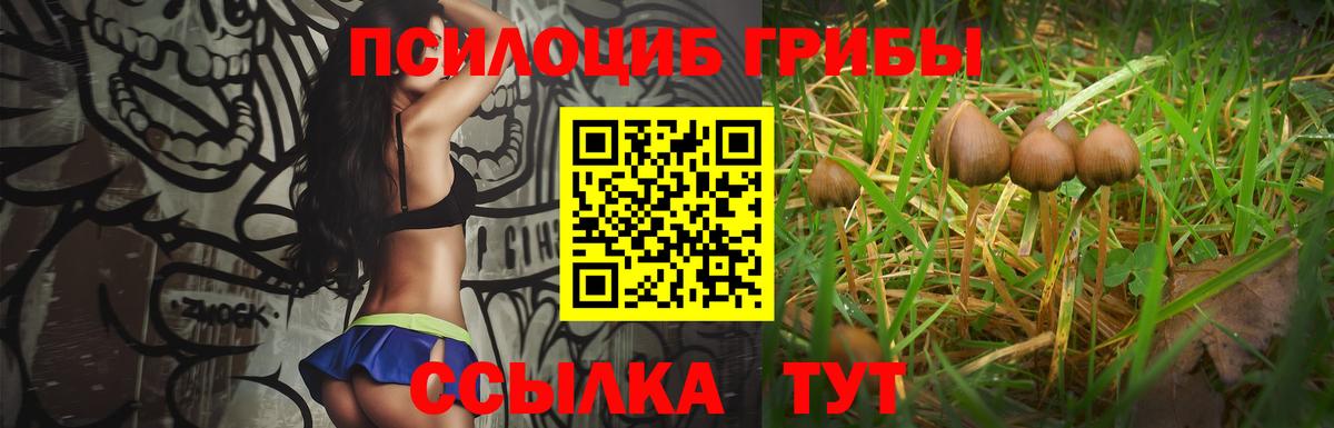 Галлюциногенные грибы Cubensis Симферополь